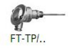 Czujnik termperatury zanurzeniowy FT-TP/100 